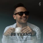 دانلود آهنگ نیما گرشاسبی پیوند